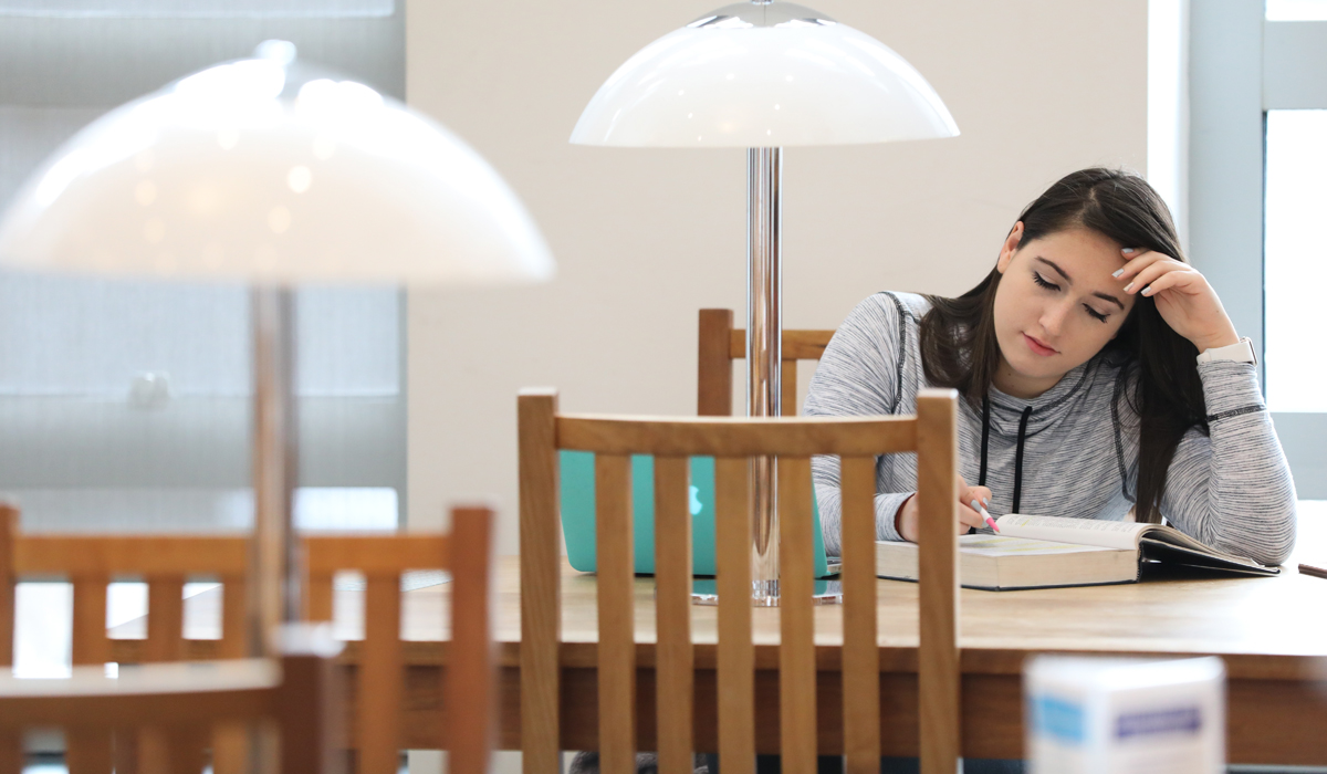 student studying in library