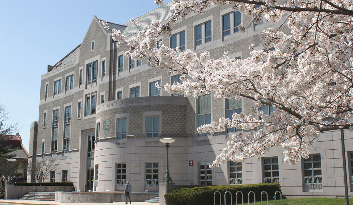 Law School with Cherry Blossoms