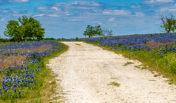 Rural road