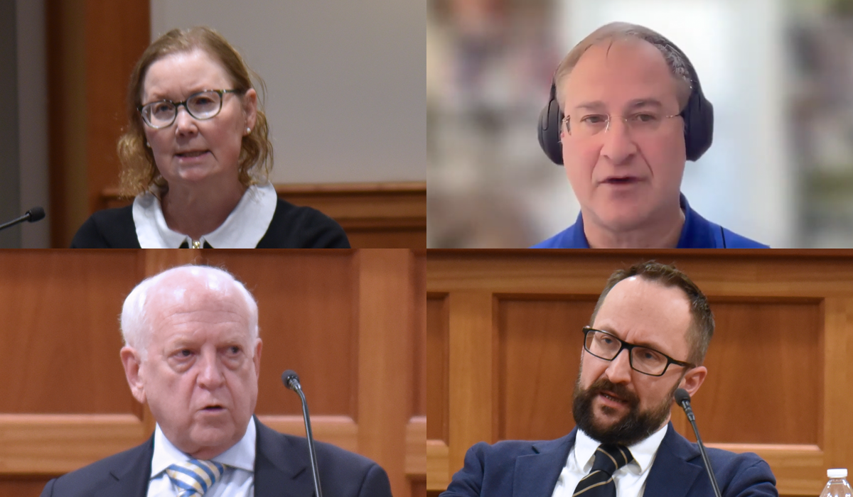 Workshop two panelists