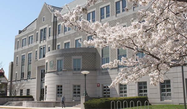 Cherry blossoms in front of law school building