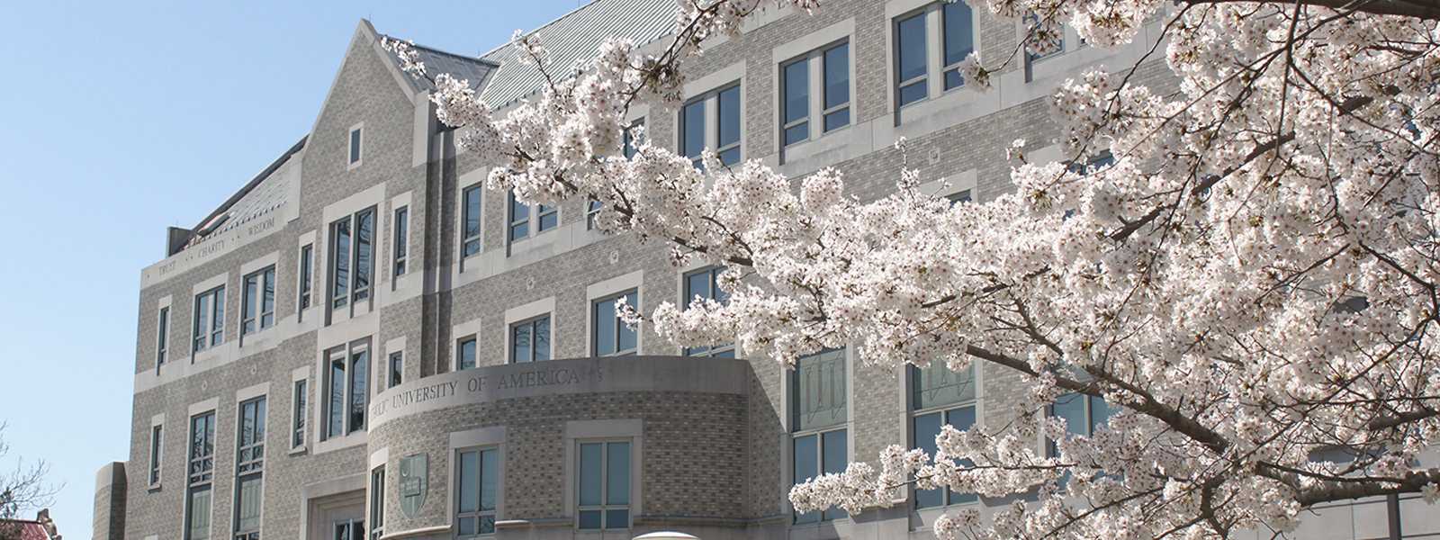 cualaw-cherry-blossoms-04-20