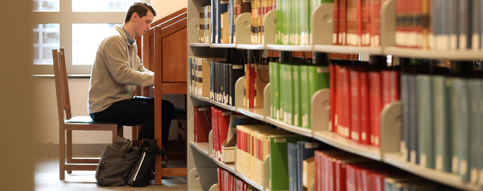 Student studying in library