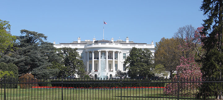 White House